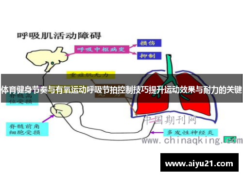 体育健身节奏与有氧运动呼吸节拍控制技巧提升运动效果与耐力的关键